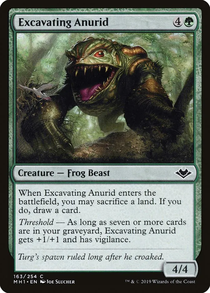 Excavating Anurid Front Face