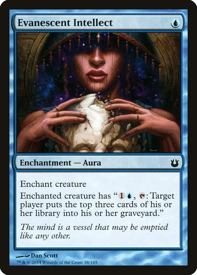 Evanescent Intellect Front Face