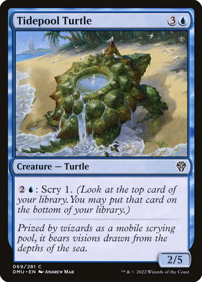 Tidepool Turtle Front Face