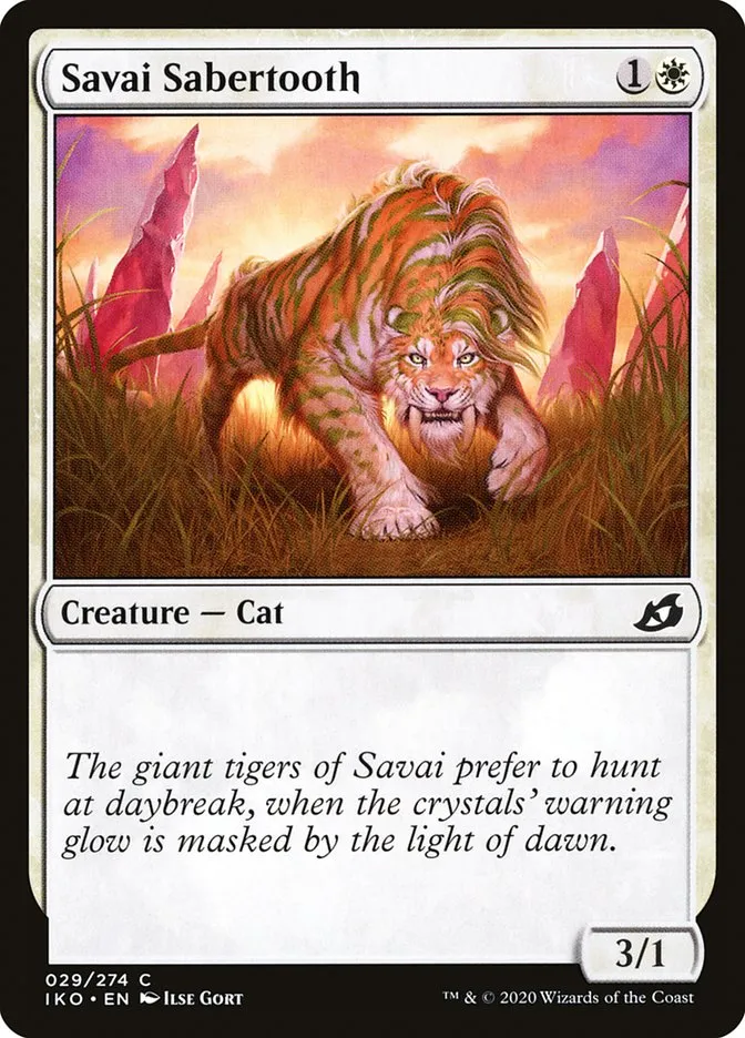 Savai Sabertooth Front Face
