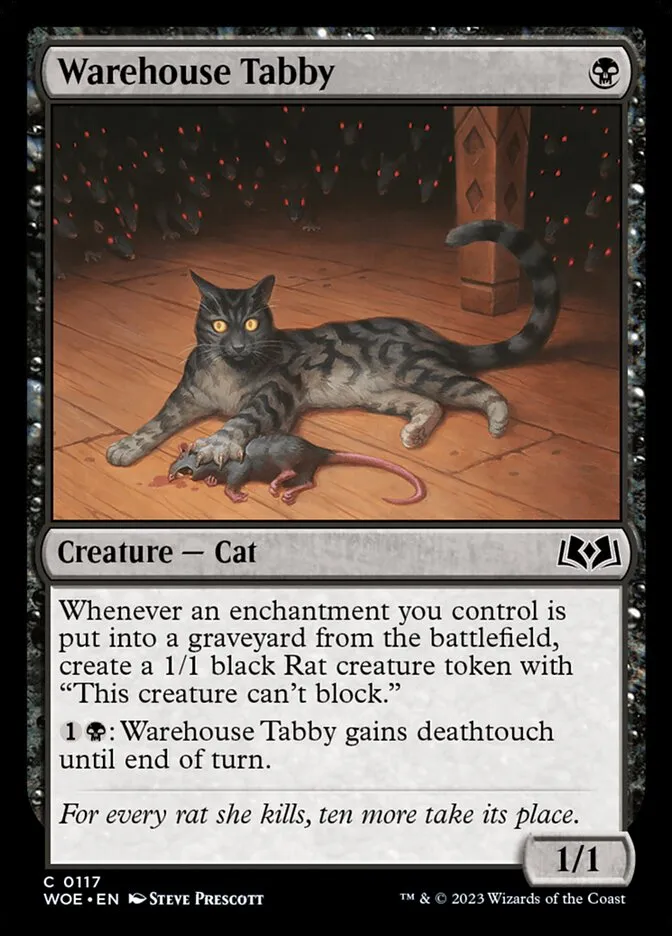 Warehouse Tabby Front Face