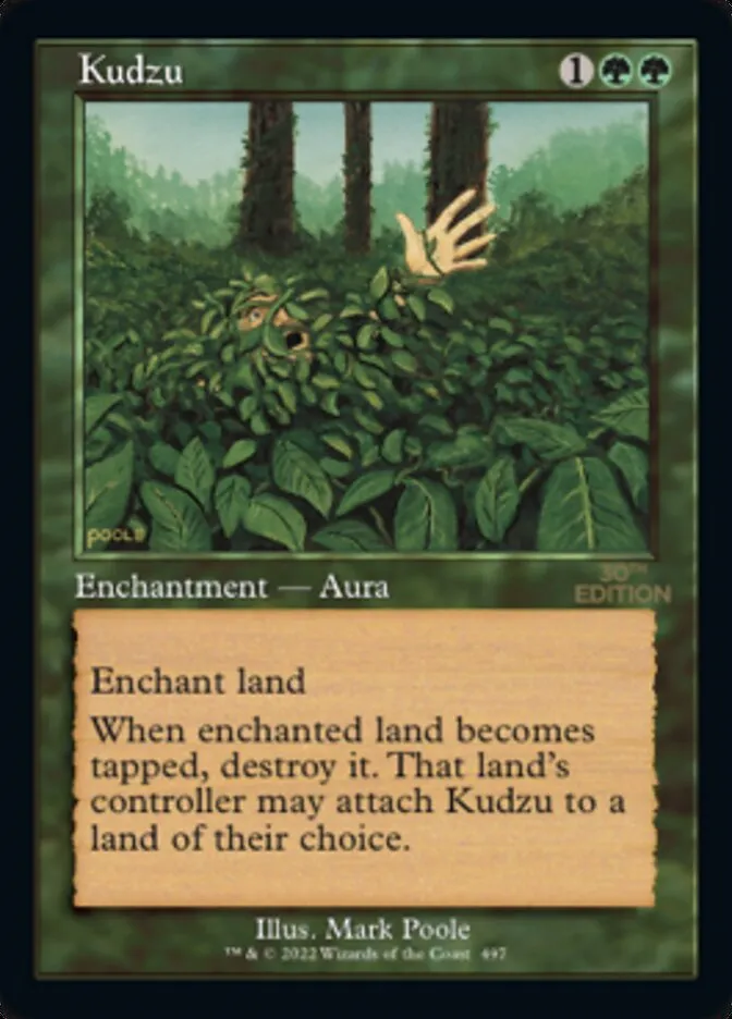 Kudzu Front Face