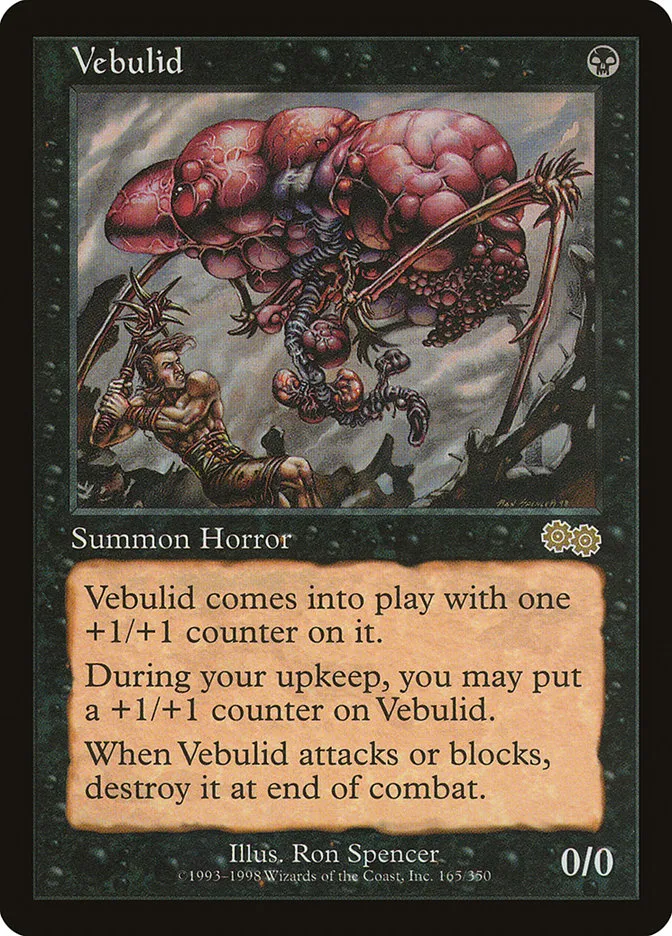 Vebulid Front Face