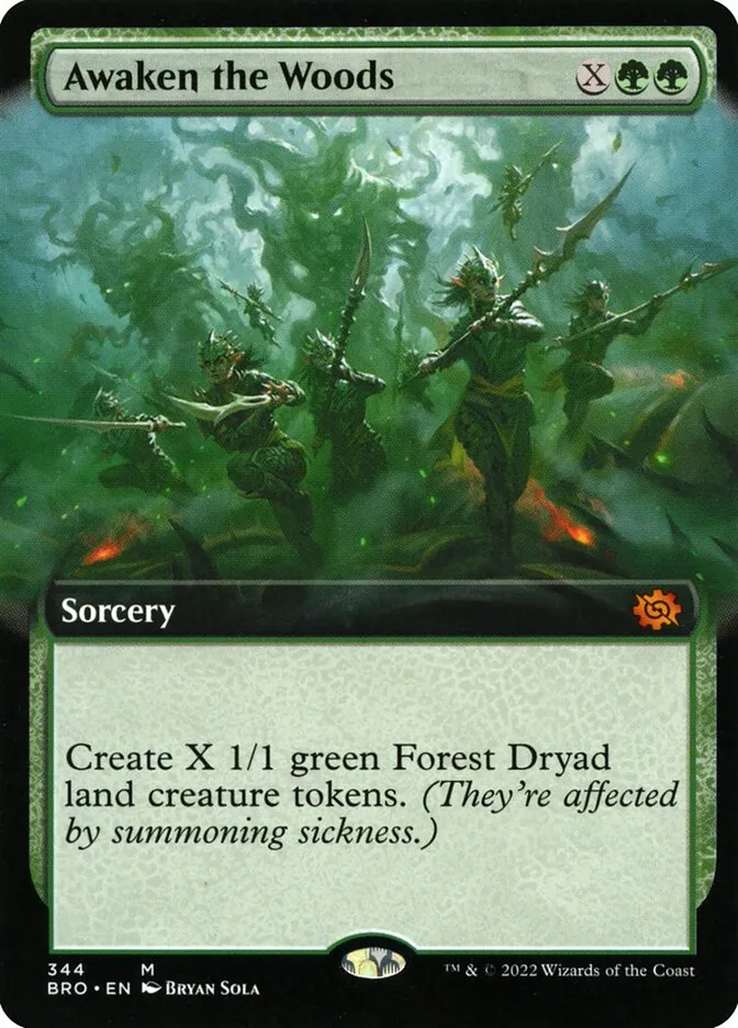 Awaken the Woods Front Face