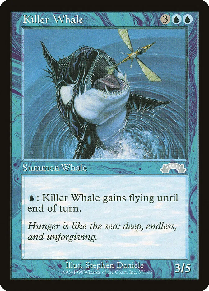 Killer Whale Front Face