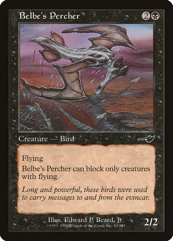 Belbe's Percher Front Face
