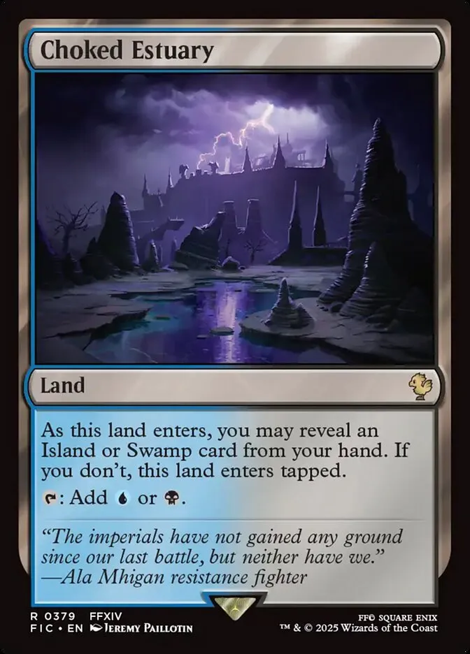 Choked Estuary Front Face
