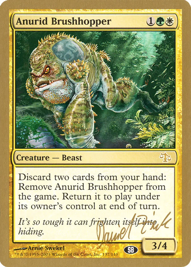 Anurid Brushhopper Front Face