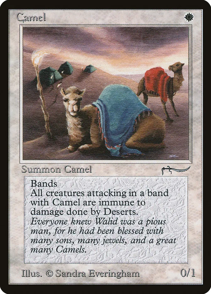 Camel Front Face