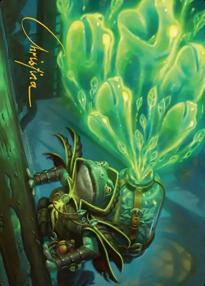 Burrog Barrage // Burrog Barrage Front Face