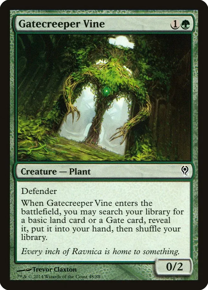 Gatecreeper Vine Front Face