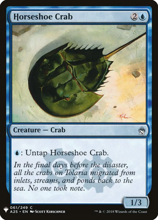 Horseshoe Crab Front Face