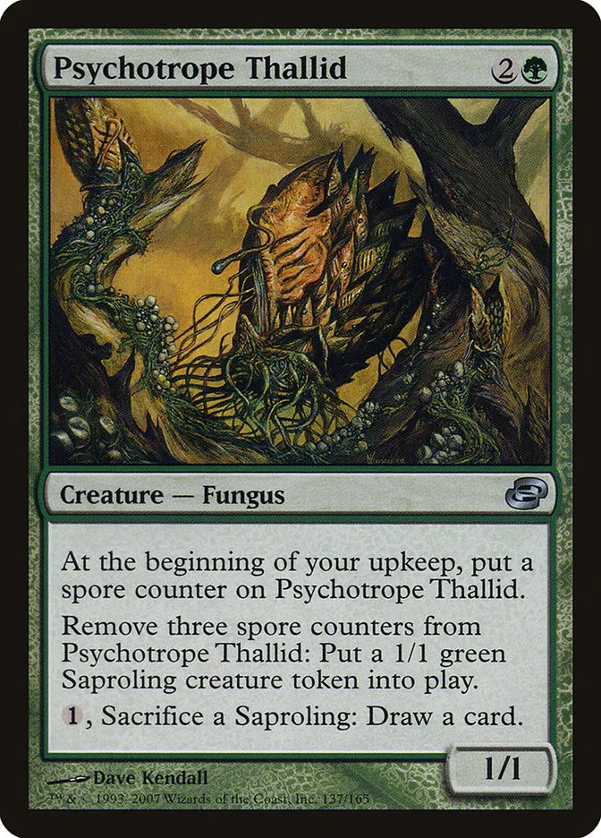 Psychotrope Thallid Front Face
