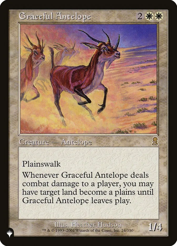 Graceful Antelope Front Face