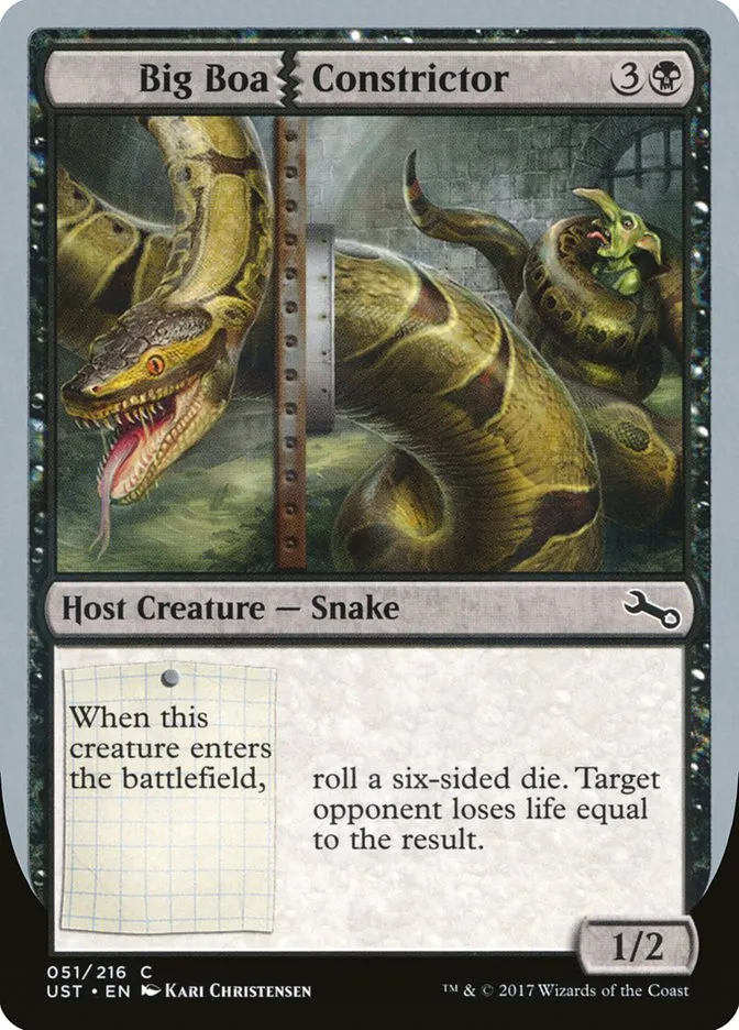 Big Boa Constrictor Front Face