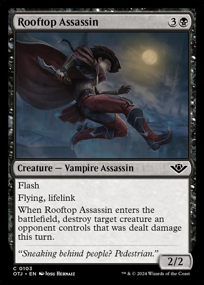 Rooftop Assassin Front Face