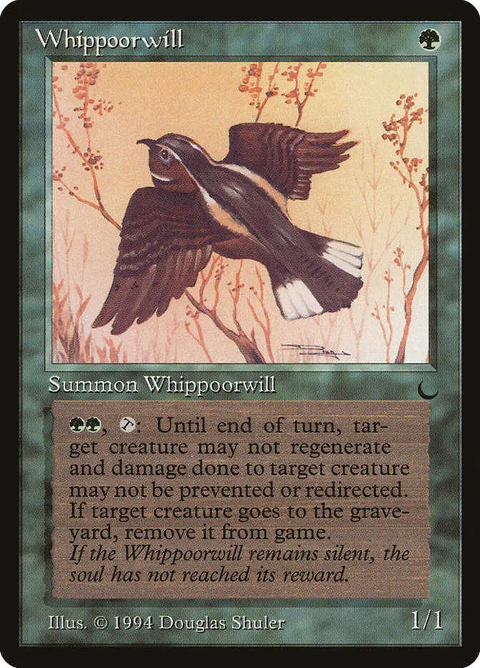 Whippoorwill Front Face