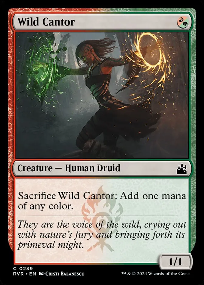 Wild Cantor Front Face