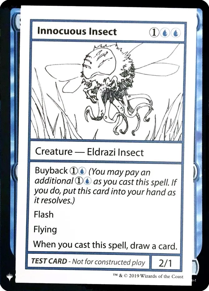 Innocuous Insect Front Face