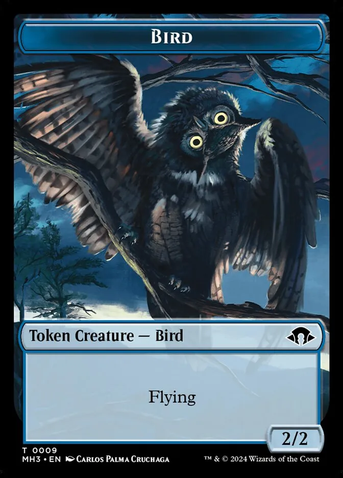 Bird Front Face