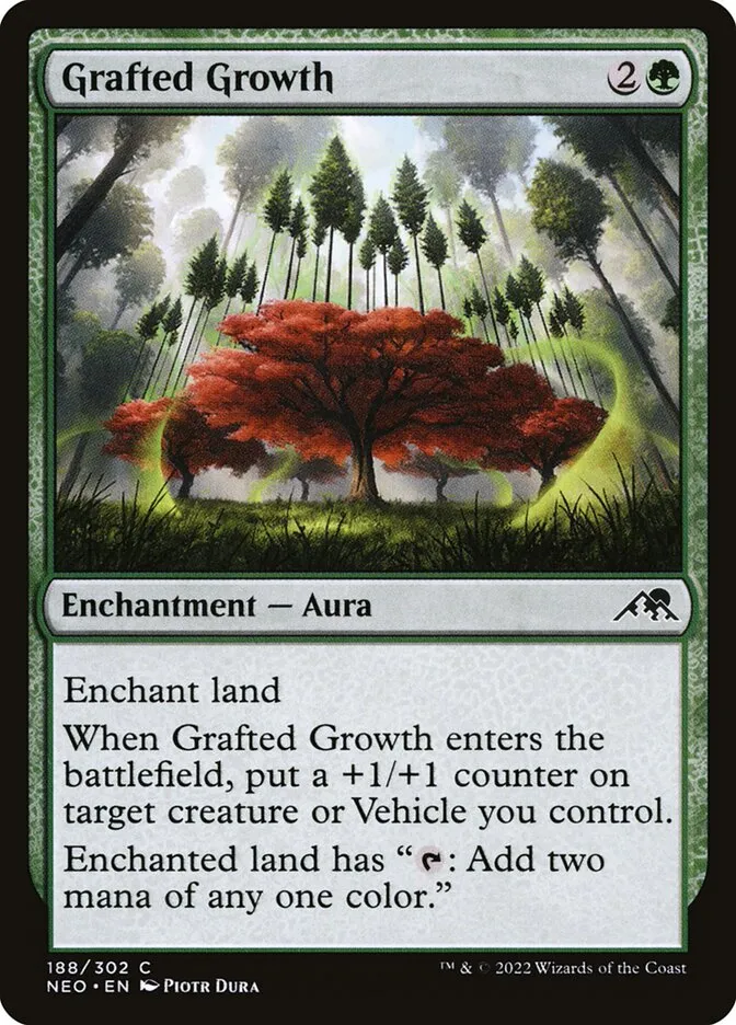 Grafted Growth Front Face