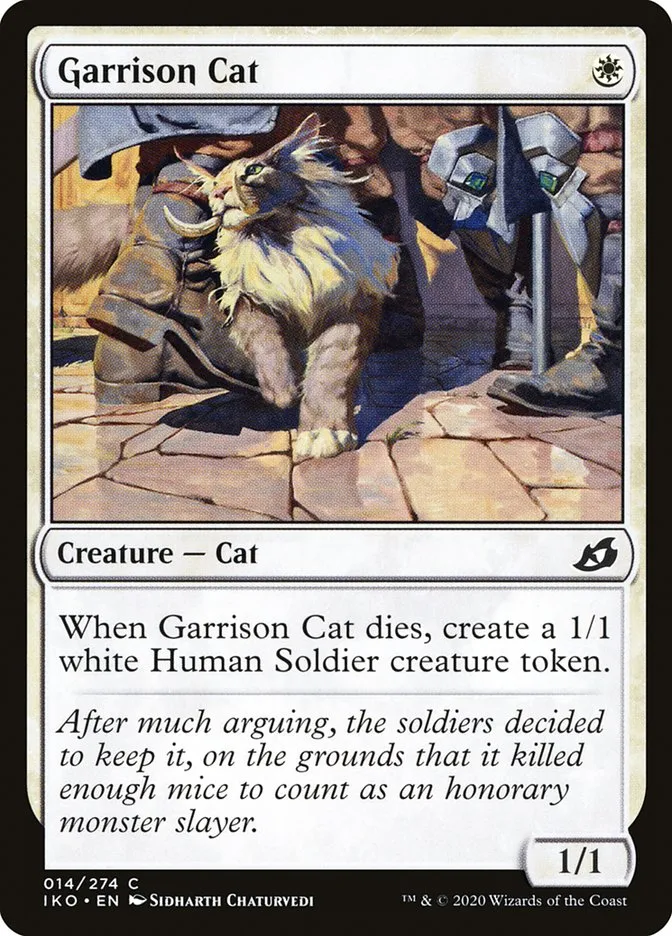 Garrison Cat Front Face