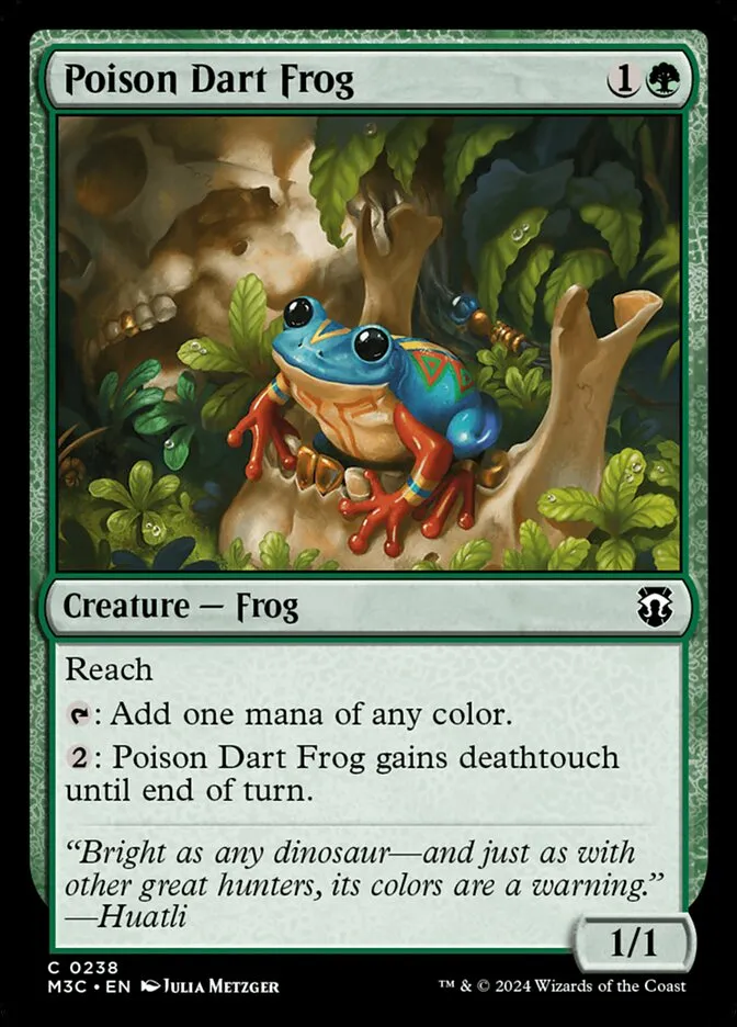 Poison Dart Frog Front Face