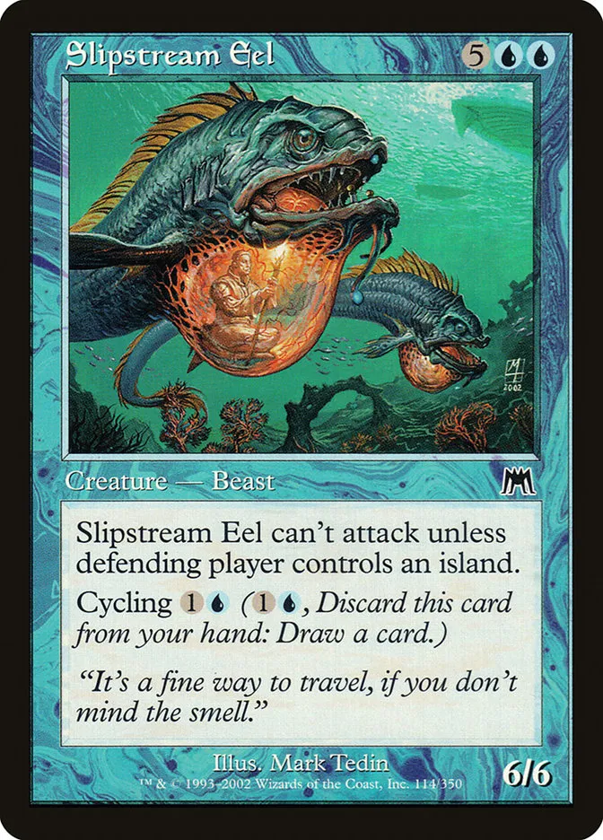 Slipstream Eel Front Face