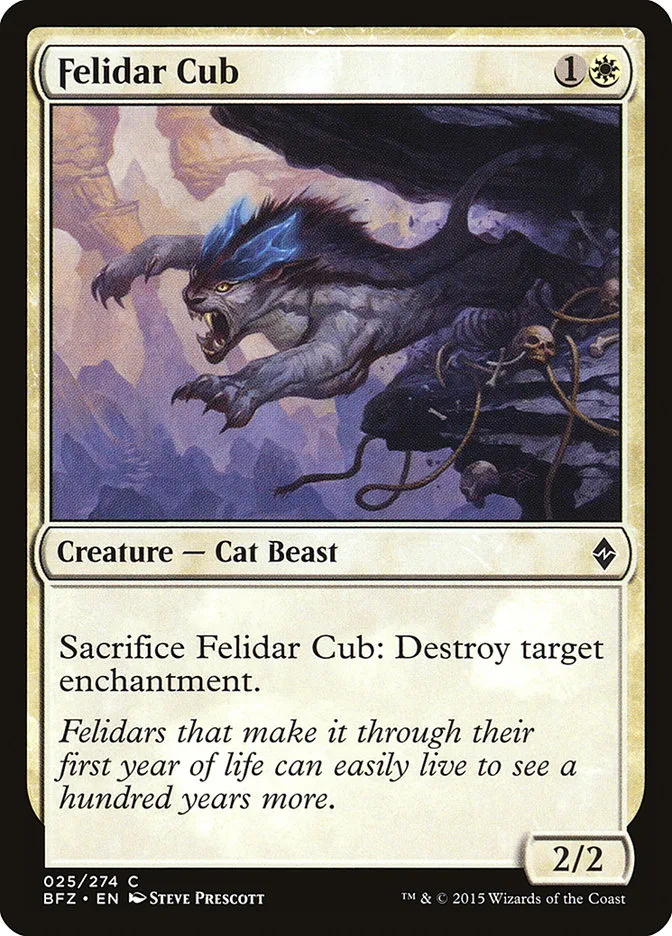 Felidar Cub Front Face