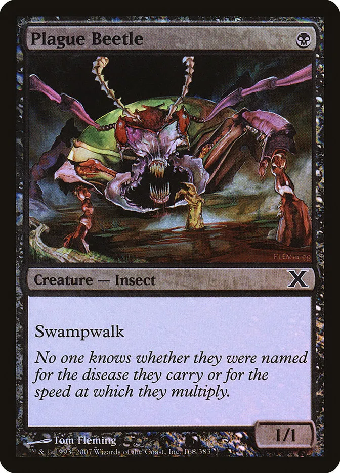 Plague Beetle Front Face