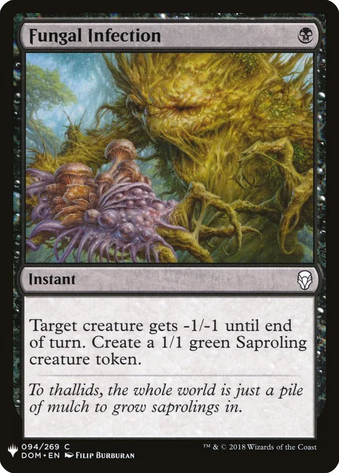 Fungal Infection Front Face