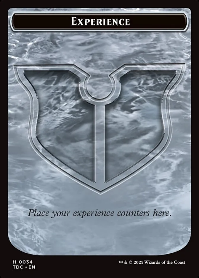 Experience Front Face