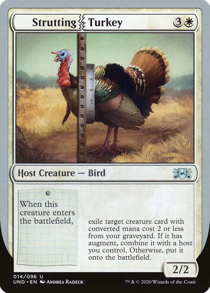 Strutting Turkey Front Face