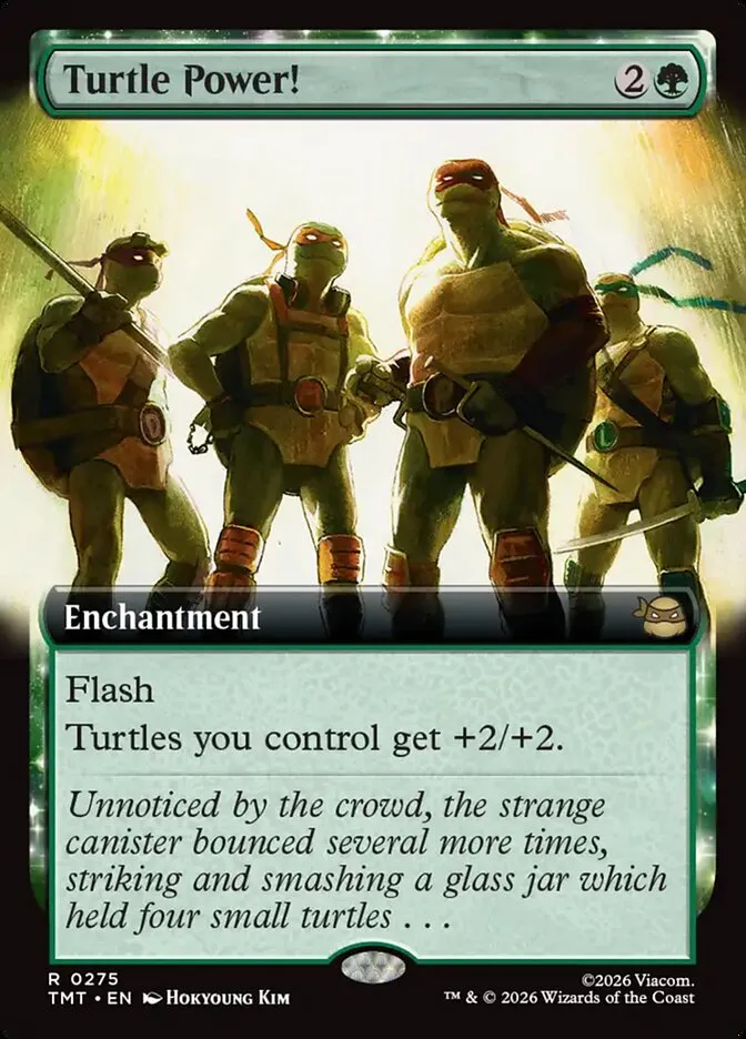 Turtle Power! Front Face