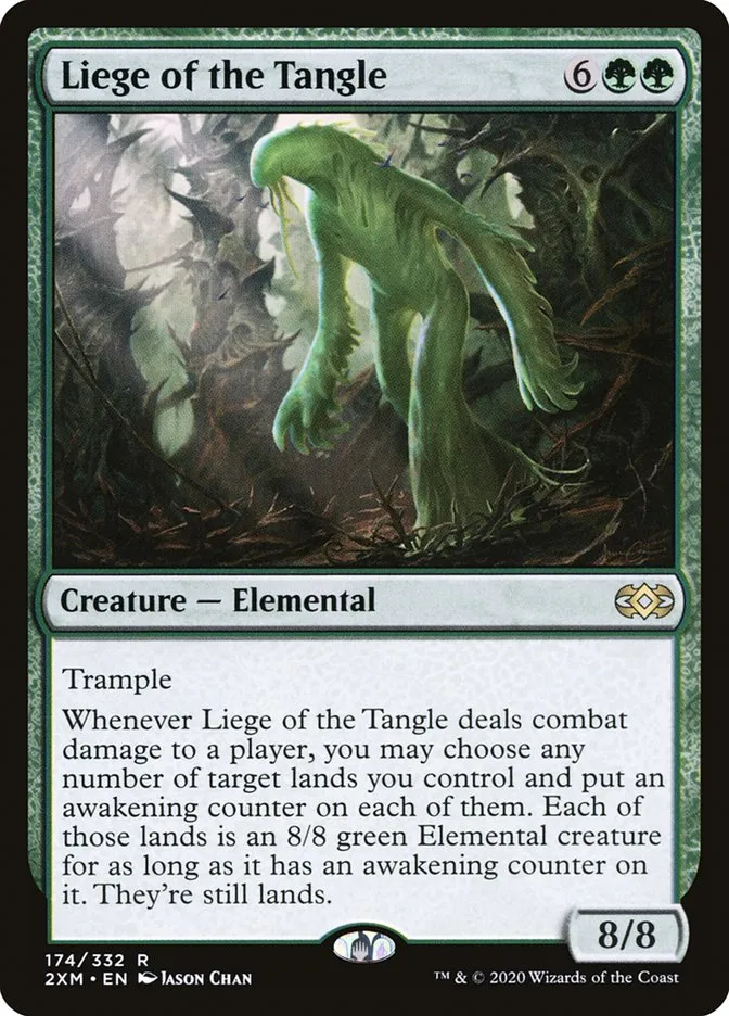 Liege of the Tangle Front Face