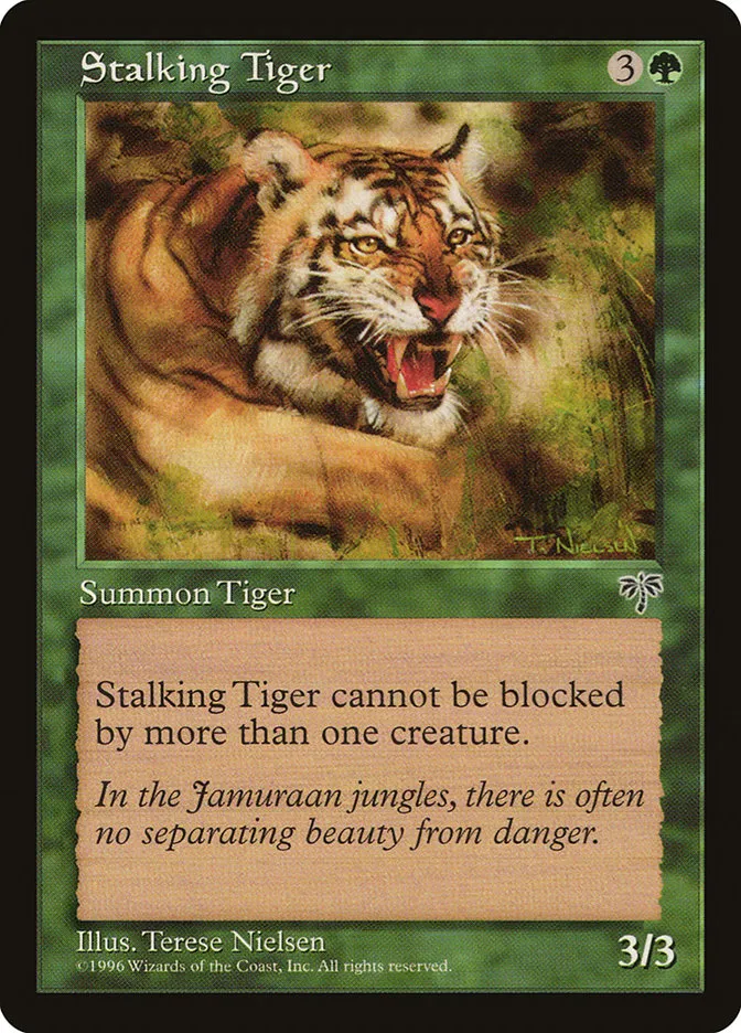 Stalking Tiger Front Face