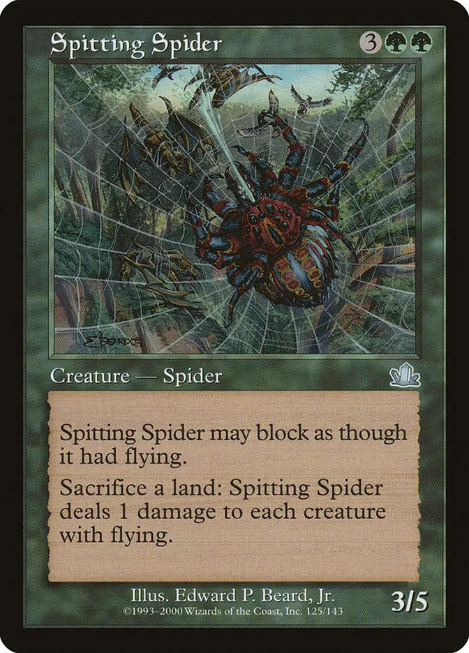Spitting Spider Front Face
