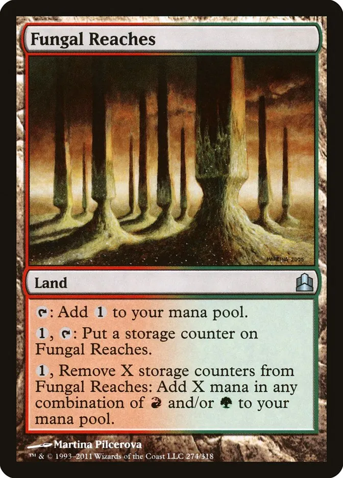 Fungal Reaches Front Face
