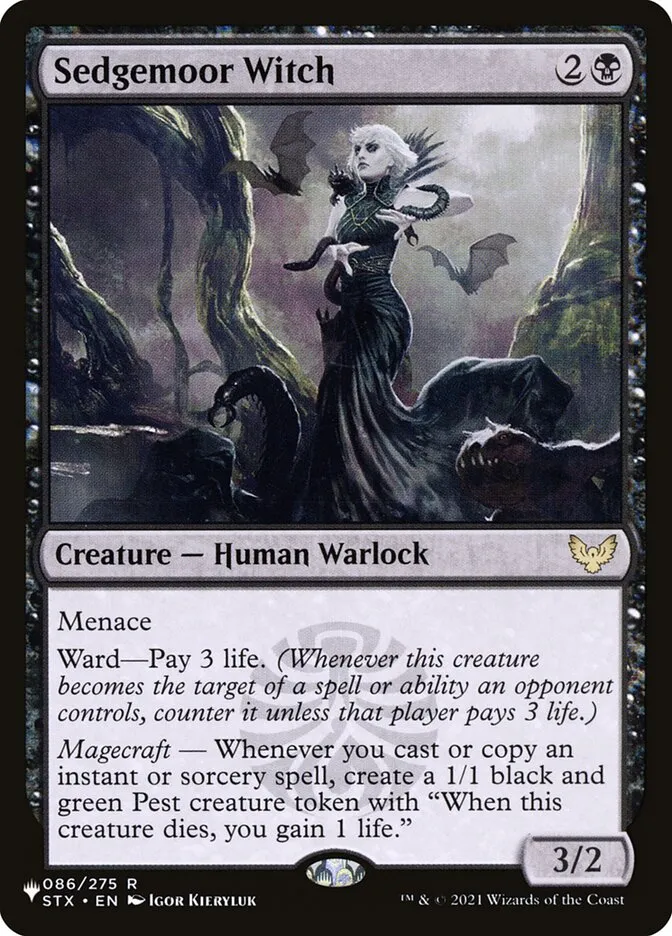 Sedgemoor Witch Front Face