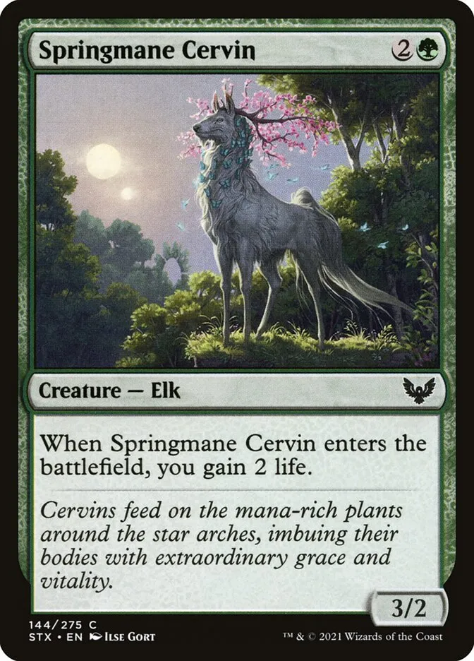 Springmane Cervin Front Face