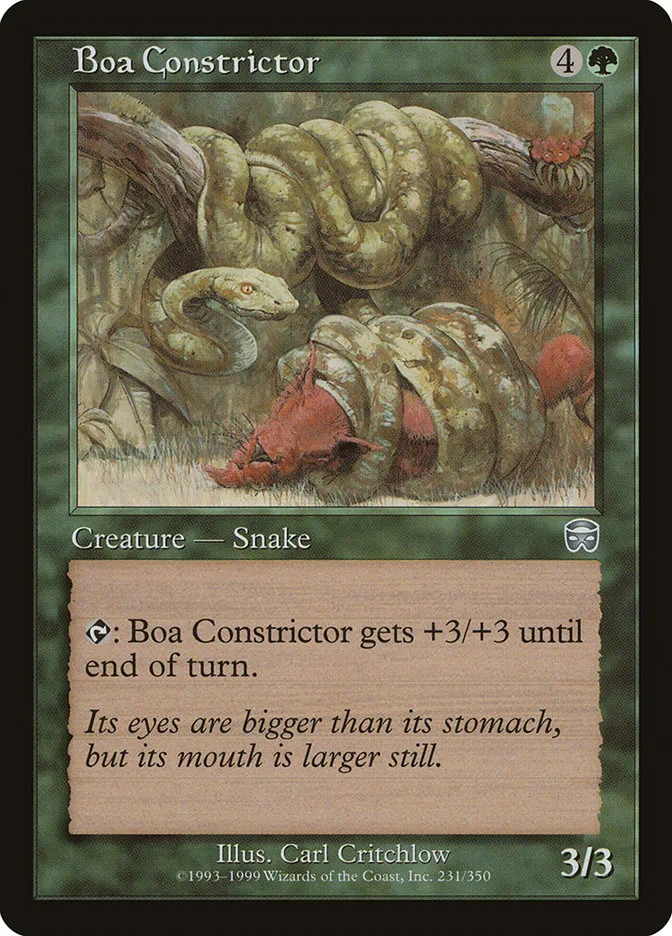Boa Constrictor Front Face