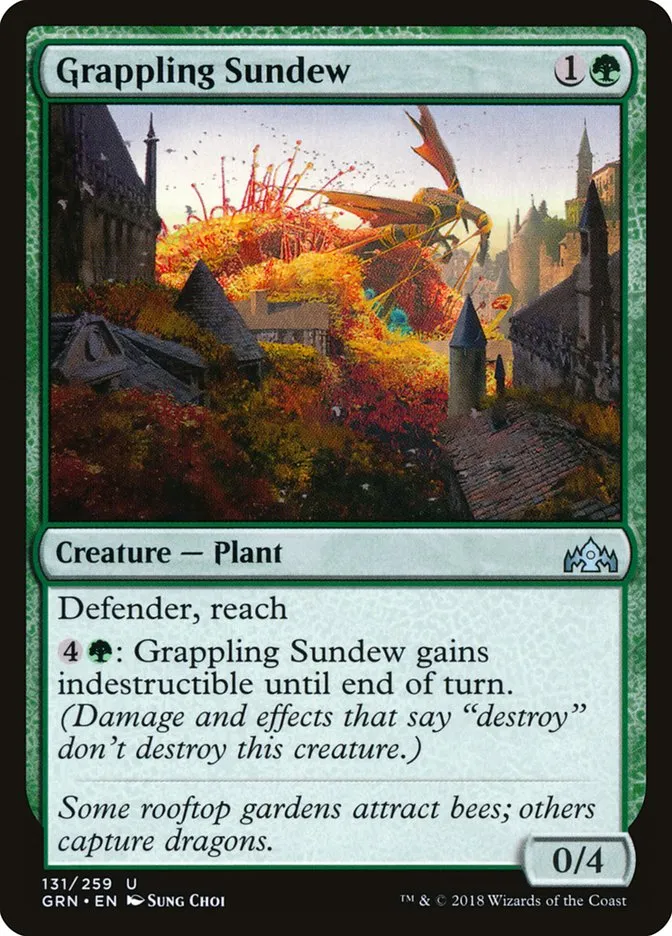 Grappling Sundew Front Face