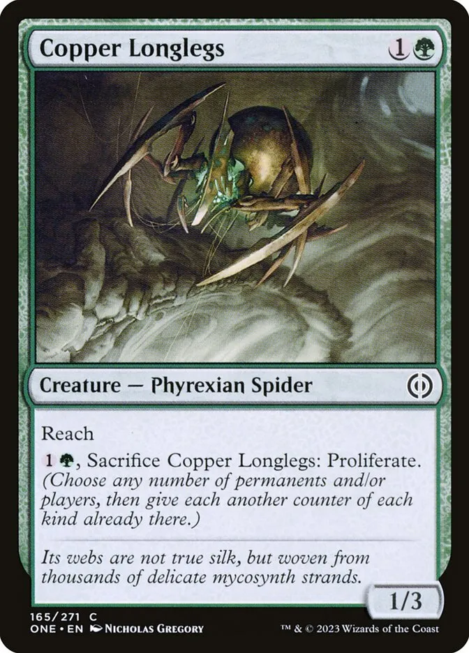 Copper Longlegs Front Face