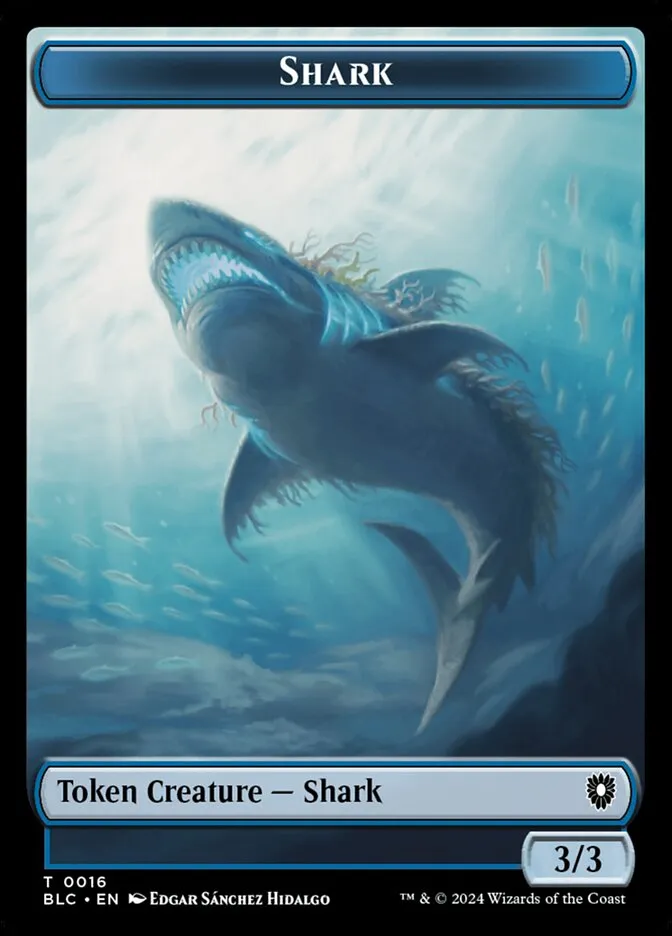 Shark Front Face
