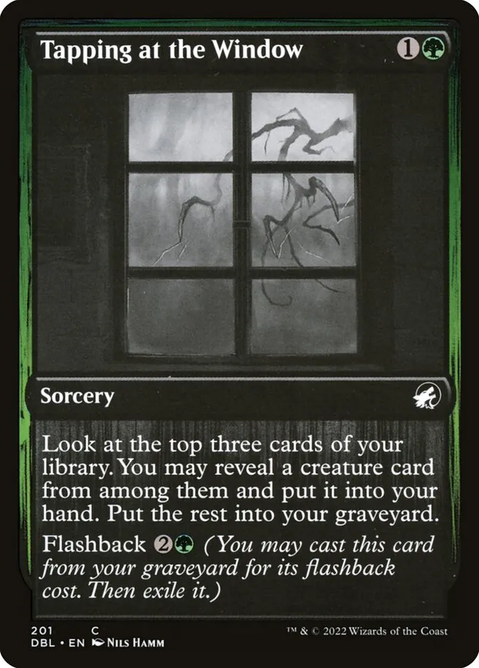 Tapping at the Window Front Face