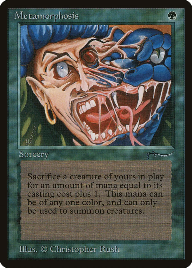 Metamorphosis Front Face
