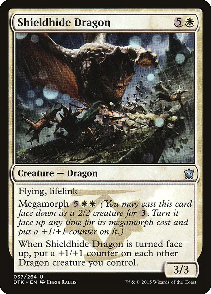 Shieldhide Dragon Front Face