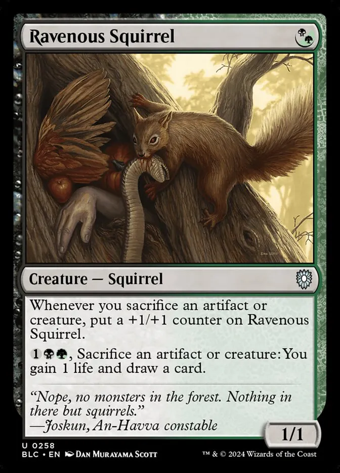 Ravenous Squirrel Front Face
