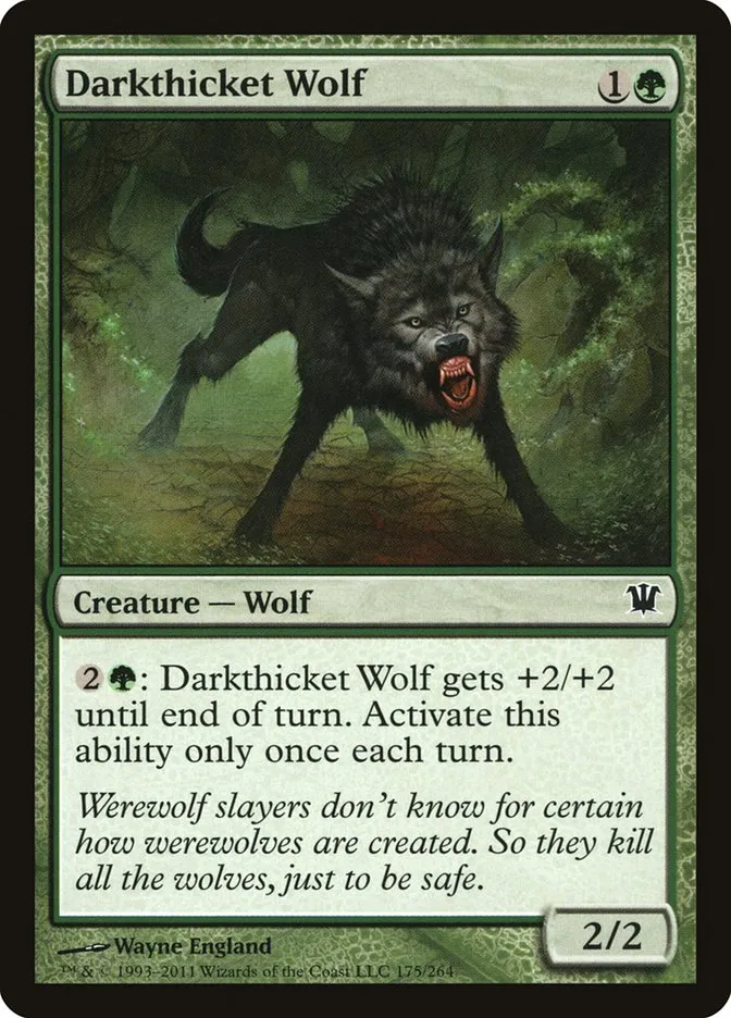 Darkthicket Wolf Front Face