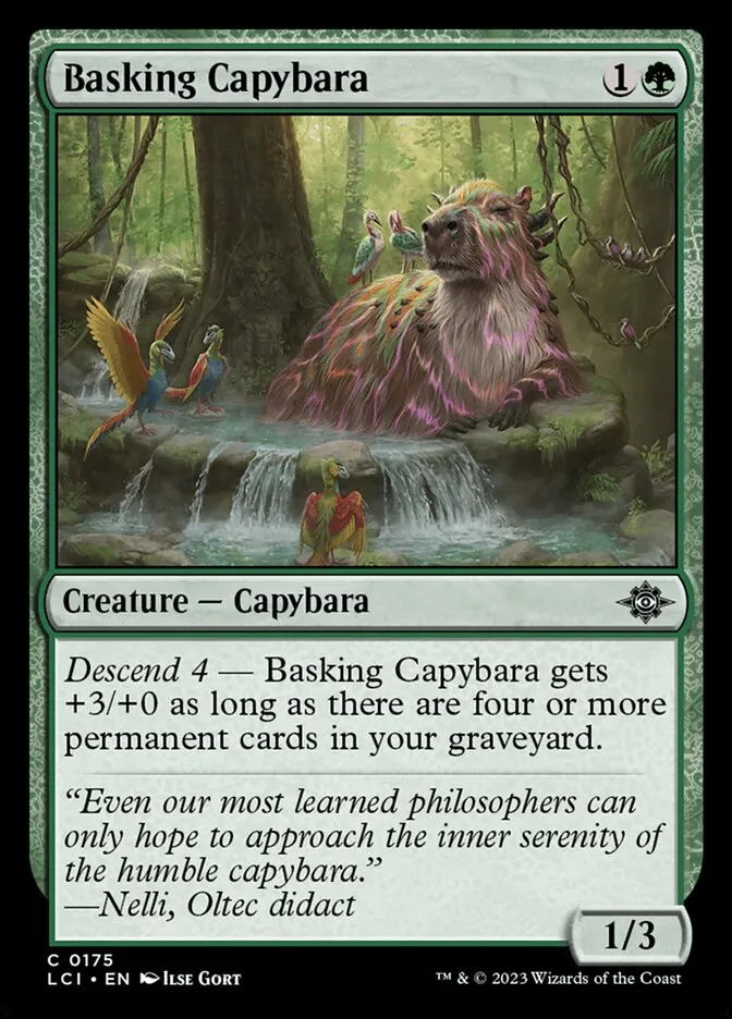 Basking Capybara Front Face